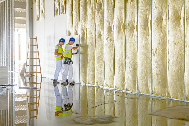 Best Insulation Maintenance and Repair in Loudonville, OH